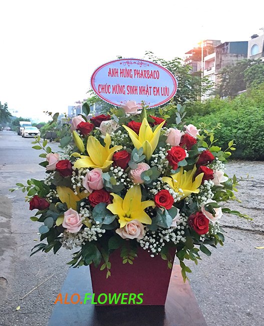 hoa giỏ tặng sinh nhật