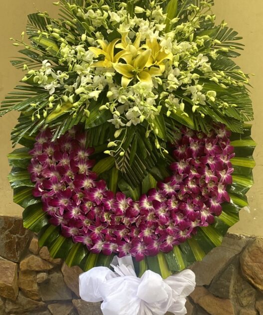 Vòng Hoa Tang