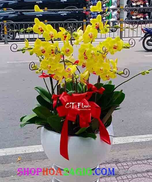 Tương Lai Tỏa Sáng