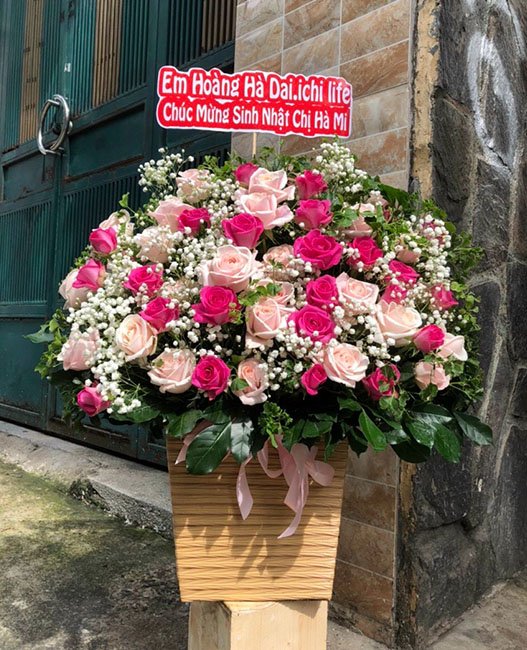 Shop hoa tươi đẹp Huyện Trà Lĩnh