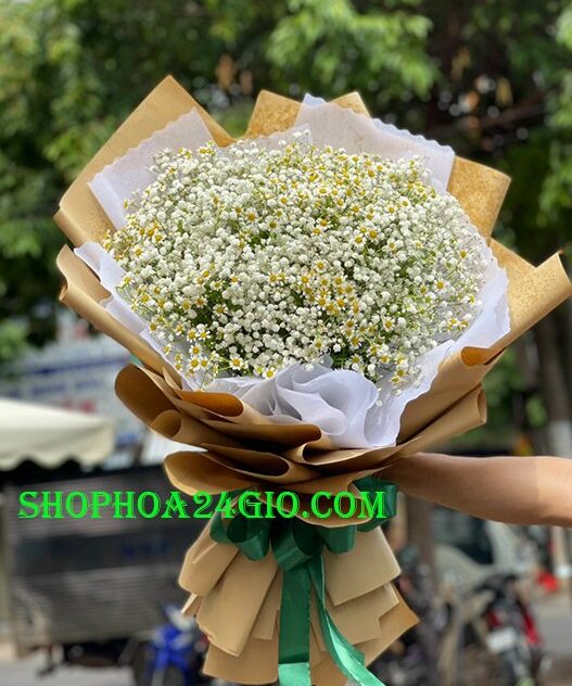 Bó Hoa Baby Thạch Thảo