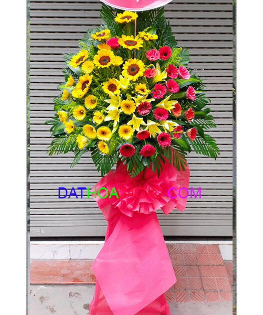 Bước Đầu Mới Thành Công