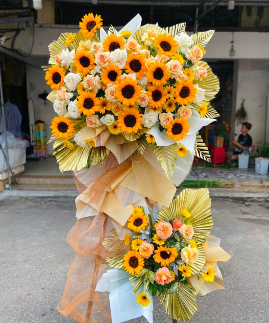 HKT Tầm Cao Mới