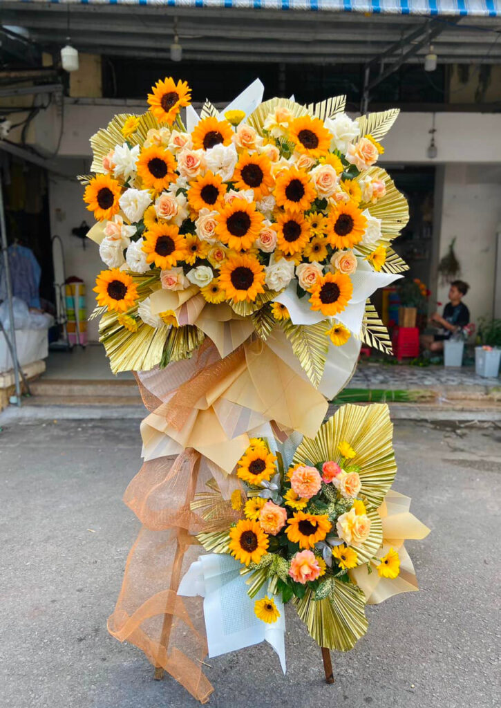 HKT Tầm Cao Mới