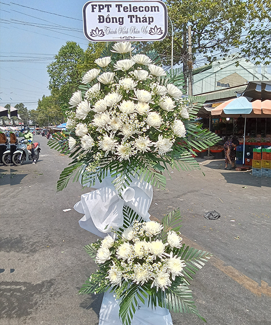 Hoa Tang Trắng