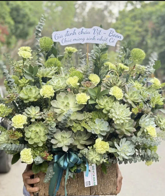Giỏ Sen Đá May Mắn